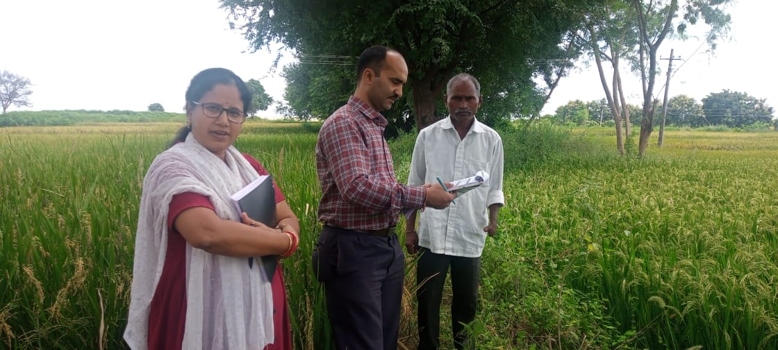 Field visit with a farmer to review crop growth